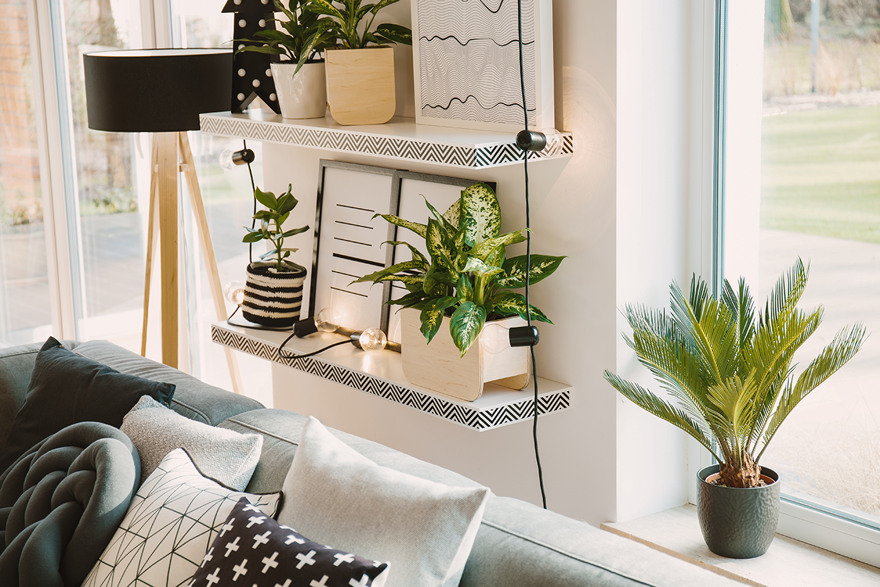 High angle on plants and lights on shelves in cosy living room interior with patterned cushions
